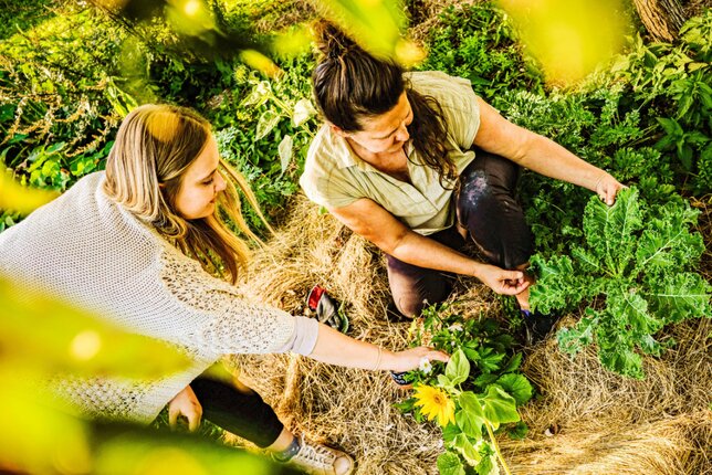 Maria Manger am Frei-Hof / SONNENTOR | © SONNENTOR